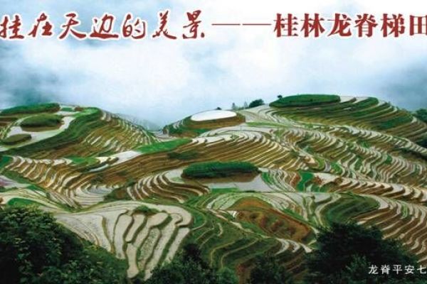 D线--桂林•阳朔 百里漓江•银子岩•龙脊梯田四天高铁纯玩团