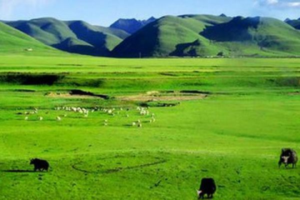 五星体验游——草原、成陵、银肯响沙湾、蒙牛双飞5日游